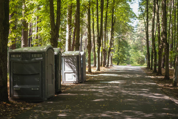 Best Portable bathroom rental  in Shelbyvle, IL