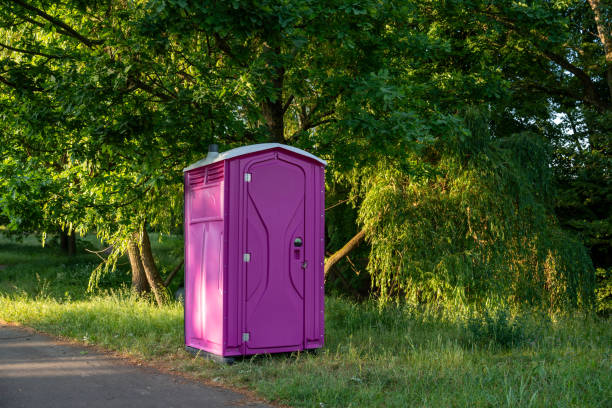 Best Sanitation services for porta potties  in Shelbyvle, IL